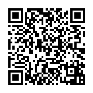 倒是和一般趾高气扬不起他这样的小厮的姑娘不一样二维码生成