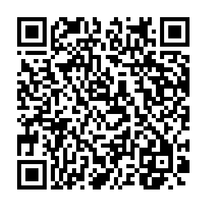 倒是对于八卦缠身的涅盘乐队居然愿意出席这样一个简单的慈善活动二维码生成