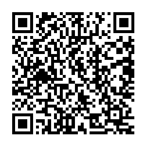 倒是那碧绿色缩小了无数倍的刀型秘宝却在杨开放出神念查探的时候二维码生成