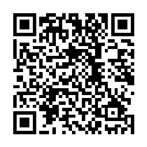 倒让他确定这群傲雪冰卫暂时没有要对他们动手的意思了二维码生成