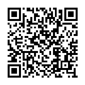 偶尔也忍不住借着出去转转的名义走到了大门口二维码生成