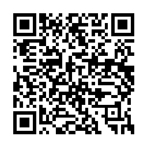 储物镯的事就算和寇家有牵连也肯定和寇家无关二维码生成