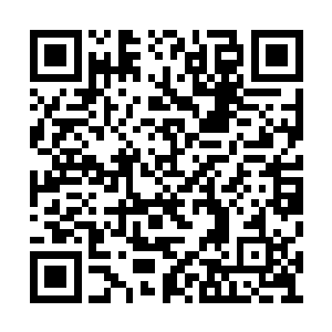 像你这么优秀的天分却没有觉醒我们家族的血脉二维码生成