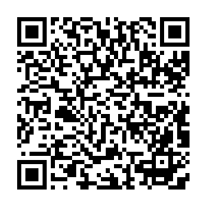 像是根本不知道克里斯昨天回了洛杉矶――珍妮不禁暗想也许他真的不知道二维码生成