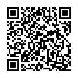像是血姬冷吞噬能力中完美模拟出被吞噬生命状态的技能二维码生成