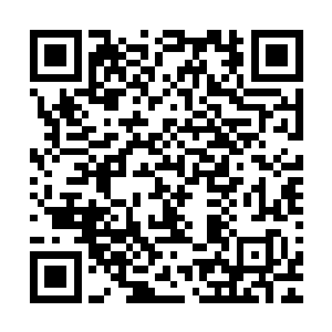 像陆天养强势掌控欲很强的人怎么可能老实得任由莫冠杰挑选二维码生成