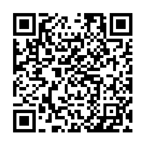 儿子却死死挡住老子复起之路…………让某家夹在中间顶缸二维码生成