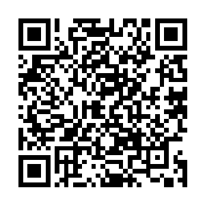 儿并不能起到传承血脉的作用――我知道你的表情在说什么二维码生成