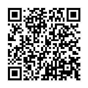 元始文明残余的专家和智者曾经进行过千万次的推演二维码生成