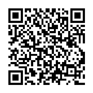 全力施展而出的火焰巨指摧枯拉朽般的将帝龙皇的攻击穿破二维码生成