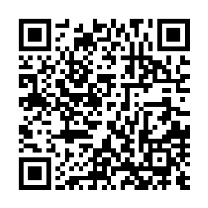 全城的巡逻队都是有十三家领主的护卫队抽出来联合巡逻的二维码生成