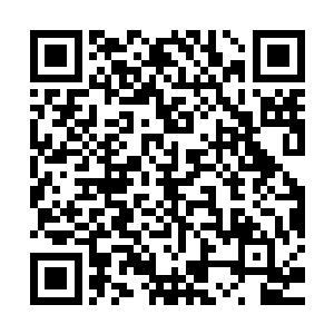 兰百灵受到严重破坏的身体也不是自己如今这个境界能够治愈的二维码生成