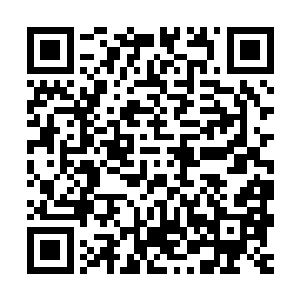 其中有七个三流势力和三个准二流势力不愿意臣服而被满门灭绝二维码生成