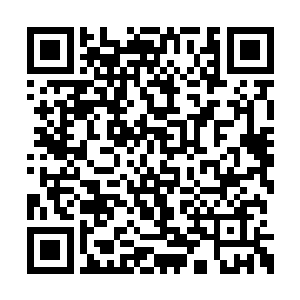 其之前炼制斩神旗所用的主材料之一的永恒蚕丝二维码生成