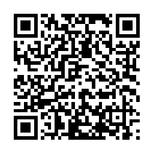 其他人突破斩三尸之境无一不是做了长久的计划和准备二维码生成