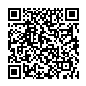 其实二号老者并不是星辰阁界主们的第一个实验对象二维码生成