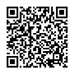 其实从侧面也已经证明了林辰已经接受了他们三人心中的想法二维码生成