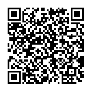 其实他们就是趁着刚刚李川和刀疤男忽悠的时候进去把暗中隐藏的人给干掉了二维码生成