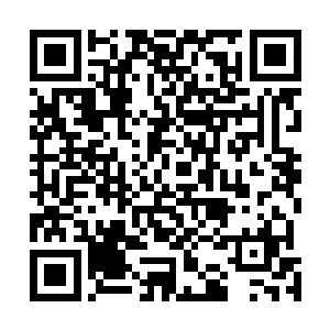其实在他如此病重的情况下是不应该继续坚持参加比赛的二维码生成
