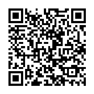 其实她刚才连续急刹车故意吓唬挡莫凡挡对方的道二维码生成