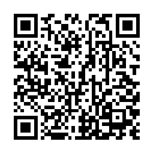 其实游衣也不知道白凤凰将要兑现的是什么样的承诺二维码生成