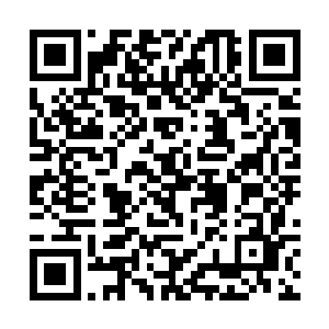 其实隐藏着一个宝贝……是他们这次商队最大的收获二维码生成