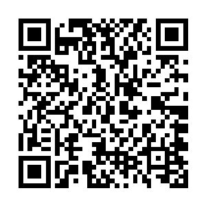 再结合它们碰撞力量的不断衰竭和对危机的本能反应二维码生成