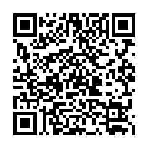冒犯上位者呢……冒犯了无锋门解恩令的持有者二维码生成