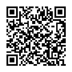 冲过来的仙家全都在剑气中颠簸和承受剑海攻击二维码生成
