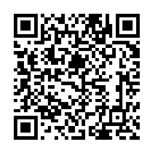 冷血子冰冷死寂气息和寒雪般的语气对华夏九没有任何影响二维码生成