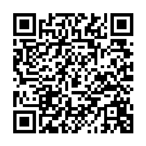 凌云界主和断水界主是8位镇域界主中最强大的存在二维码生成