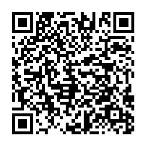 凌菲和龙战每天玩上山的固定活动也因为凌菲的身体的缘故取消了二维码生成