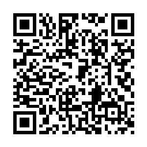 几个瞬间就从远处瞬移到了两只大军对垒的中间二维码生成