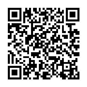 几乎人人都在期待着乔治从小屏幕走上大屏幕的转型之作二维码生成