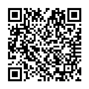 几乎是立刻墨景黎便下令将楚家家主重新带回了大厅里二维码生成