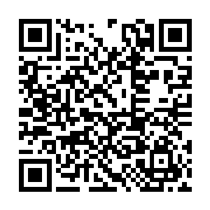 几年的沧海桑田像书一样一页一页从眼前快速翻过二维码生成