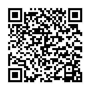凤之遥也带着写意的笑容称赞起王妃如何贤德如何才貌双全二维码生成