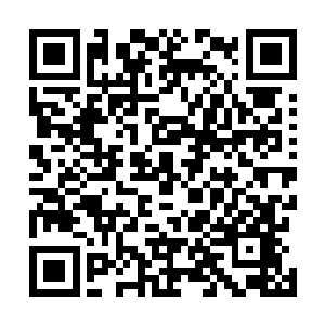 分别保持着现在的距离跟着几人一同缓缓向墓穴深处移动二维码生成