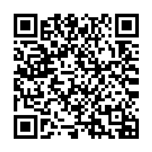 刘伟也不敢再轻易打自己这个管委会副主任的主意二维码生成