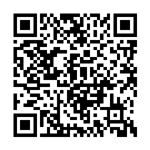 则代表着她向古楼和自己所表达出的信任和尊重二维码生成