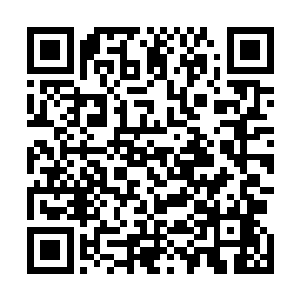 则是这个家族的血脉与文化的传承和家族后辈子弟的优秀二维码生成