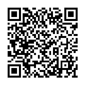 刚刚被打成猪头的几个拳王纷纷表示无比的怨念二维码生成