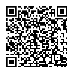 刚刚还在为凌霄公布海角星有一位21岁就进入皇级师士的消息激动振奋时二维码生成