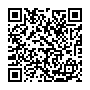 刚才你是在进行什么……提取纯净蒸汽之力的实验二维码生成