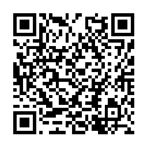 刚才我亲你的时候不是不小心咬了一下你的嘴唇吗二维码生成