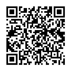 刚才通过撑天伞逃出来的白羽门和一些其他门派的修真者们二维码生成