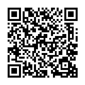 别样红留在他识海里的这些智慧将会帮助他少走很多弯路二维码生成