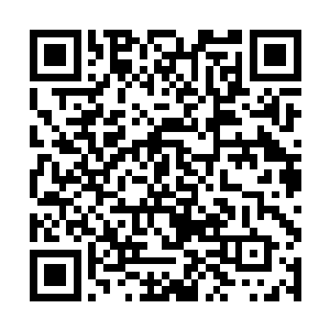 别说禹欢了连带着赵融和周夏的眼睛里都带着小星星二维码生成