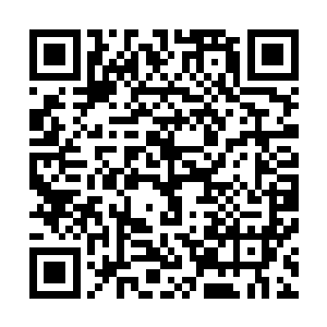 到了毫州之后才发现水患造成的损失远远超出了朝廷的预计二维码生成
