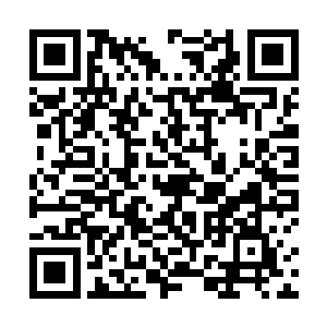 到底在那里耿家埫的这十五位先祖经历了什么样的灾难二维码生成